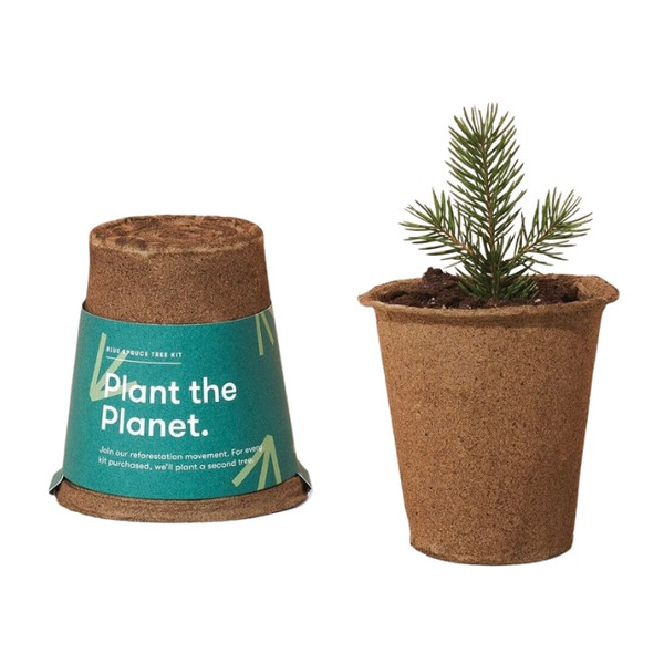 Plant the planet blue spruce tree kit Plant the planet blue spruce tree kit