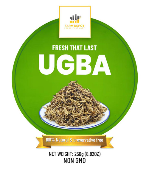 UGBA (Fermented African Oil Bean Seeds)

Our Authentic Ugba is carefully processed to ensure microbiological safety while preserving the authentic taste. The product appears as dark brown, soft, sliced cotyledons with a distinctive aroma and slightly tangy flavor. It is typically served as a native salad with palm oil, pepper, and spices, or used to flavor traditional soups like Ofe Ugba.




Nutritional Components (Per 100g dry fermented ugba)




Energy: ~450-500 kcal

(High energy food)




Protein: 17-22% (Complete amino acid profile)




Fat/Oil: 44-47% (75% saturated, 25% unsaturated)




Carbohydrates: 4-17%

(Variable by processing)




Ash: 2-3% (Mineral content)




Crude Fiber: 2-3% (Digestive health)




Amino Nitrogen: 13.68 mg/Ng-1 DM

(Increases during fermentation)




Essential Amino Acids: All 20 present

(Complete protein source)




Major Fatty Acids: Linoleic (42.8%), Oleic (29%) (Heart-healthy unsaturates)




Calcium: 110-192 mg

(Bone health)




Iron: 3.3-16 mg

(Blood health)




Phosphorus: 172-351 mg (Energy metabolism)




Potassium: 110-175 mg

(Heart function)




Magnesium: 292-479 mg

(Muscle/nerve function)




Zinc: 9-15 mg

(Immune support)




Manganese: 15-27 mg

(Antioxidant function)




Thiamin (B1): 0.07 mg

(Energy metabolism)




Riboflavin (B2): 0.30 mg

(Cell health)




Niacin (B3): 0.30 mg

(Brain function)




Key Benefits: Fermentation reduces anti-nutritional factors (tannins, saponins, phytates, alkaloids) by 50-90%, making nutrients more bioavailable. Rich in complete protein with all essential amino acids. High in beneficial fatty acids including linoleic acid. Contains significant minerals including magnesium, potassium, and iron. Natural fermentation creates beneficial peptides and enhances flavor through glutamic acid development.




Storage Instructions




Fresh/Wet Ugba: Highly perishable—refrigerate immediately at 4°C or below




Shelf life (fresh): 3-7 days refrigerated; consume quickly due to active fermentation




Dried Ugba: Store in airtight containers in a cool, dry place




Shelf life (dried): 3-6 months when properly dried and stored




Critical: Keep moisture-free to prevent mold growth (Aspergillus, Penicillium common contaminants)




Temperature: Store below 25°C; higher temperatures accelerate spoilage




Packaging: Use vacuum-sealed or nitrogen-flushed packaging for extended shelf life




Signs of spoilage: Slimy texture, off-odors (beyond characteristic fermented smell), visible mold—discard immediately




Food safety: Ensure pH remains above 8.0 (alkaline) to inhibit pathogenic bacteria