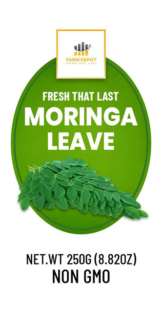 MORINGA LEAVES (Zogale)

Premium Moringa leaves (Moringa oleifera ), known locally as "zogale" in Hausa, are one of the most nutrient-dense plants native to Africa. The dried leaf is a vibrant green superfood with a mild, earthy, slightly bitter taste. Traditionally used in Nigerian soups and as a nutritional supplement, moringa is gaining global recognition as a "miracle tree" for its exceptional vitamin and mineral content.




Nutritional Components (Per 100g Dried Leaves)




Calories: 205 kcal




Protein: 27.1g




Total Fat: 2.3g




Carbohydrates: 38.2g




Fiber: 19.2g




Vitamin A: 18,000-25,000 IU




Vitamin C: 51.7mg (dried)




Vitamin E: 10.8-17.3mg




Calcium: 2,003mg




Iron: 28.2mg




Potassium: 1,324mg




Magnesium: 368mg




Zinc: 3.3mg




All 9 Essential Amino Acids: Complete Protein




Key Benefits: Exceptional source of plant-based protein with all essential amino acids; one of the richest sources of calcium (4x milk), iron (25x spinach), and vitamin A; high antioxidant content helps combat oxidative stress; supports immune function, bone health, and energy metabolism; natural anti-inflammatory properties.




Storage Instructions




Dried Leaves: Store in airtight containers in a cool, dark place away from light and heat




Ideal storage temperature: below 20°C with low humidity




Use within 12 months for optimal nutrient retention (vitamin C degrades over time)




Can refrigerate or freeze for extended shelf life (up to 2 years)




Keep moisture-free to prevent mold and preserve vitamin content




Note: Dried leaves have lower vitamin C than fresh, but retain minerals and protein well.