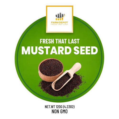 MUSTARD SEEDS

Premium-grade mustard seeds (Sinapis alba / Brassica juncea) sourced from select cultivars. These small, round seeds range in color from yellow-white to brown and black, delivering a sharp, pungent heat that intensifies when crushed or mixed with liquid. Essential for Nigerian soups, sauces, and traditional condiments, as well as pickling and spice rubs.




Nutritional Components (Per 100g)




Energy: ~508 kcal




Protein: 26g




Total Fat: 36g




Carbohydrates: 28g




Dietary Fiber: 12g




Minerals: 4% (ash content)




Glucosinolates: 100-200 μmoles/g

Phytate: 2%




Mucilage (Yellow variety): 5.5%




Lysine: High (excellent amino acid profile)




Sulfur-containing amino acids: Methionine, Cysteine




Rich in cruciferin and napin proteins with high biological value




Storage Instructions




Store in airtight containers in a cool, dark, dry place




Whole seeds maintain potency for up to 3-4 years when properly sealed




Ground mustard should be used within 6 months for optimal flavor




Protect from moisture to prevent mold development




Keep away from strong-smelling foods (absorbs odors easily)