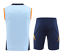 Real Madrid 24/25 Men's Blue Training Tank Top