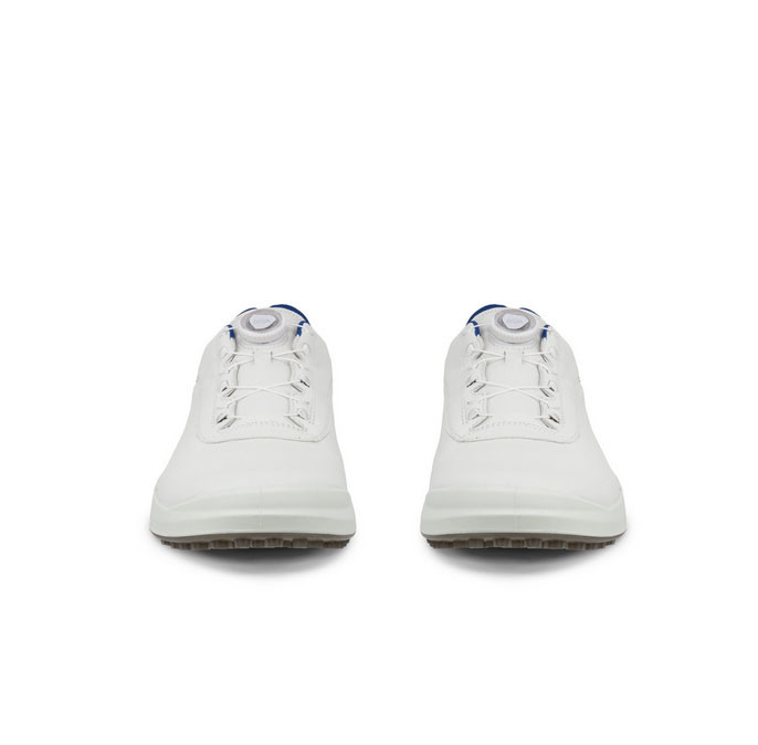 ECCO Men's Golf Core BOA Shoes | Fiddler's Green