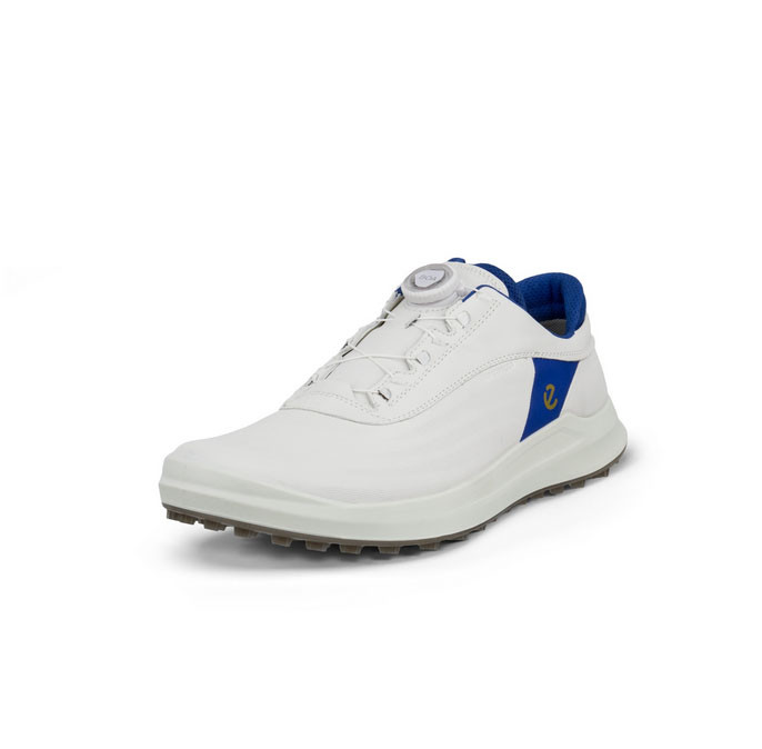 ECCO Men's Golf Core BOA Shoes | Fiddler's Green