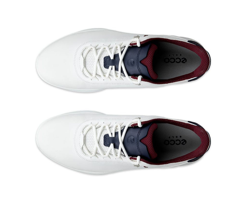ECCO Men's Golf S-Casual Shoes 102814 | Fiddler's Green