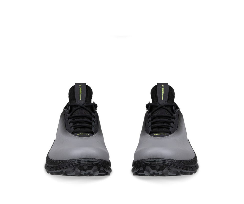 ECCO Men's Golf Biom C5 Shoes | Fiddler's Green
