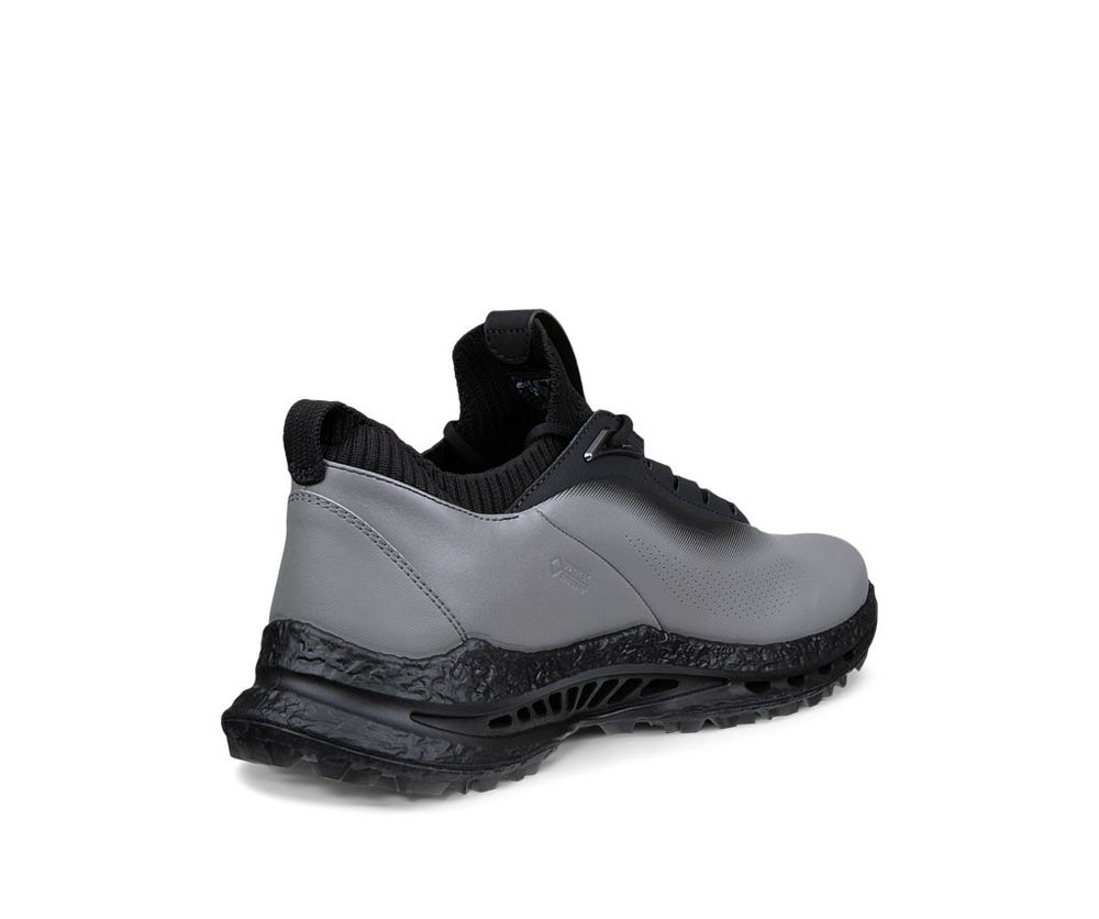 ECCO Men's Golf Biom C5 Shoes | Fiddler's Green