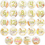 24 BABY MILESTONE STICKERS (WONDERLAND)