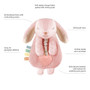 Itzy Lovey Bunny Plush with Silicone Teether Toy