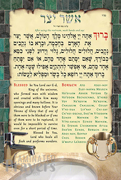 Laminated | Asher Yotzar | Bi-Lingual /Hard plastic