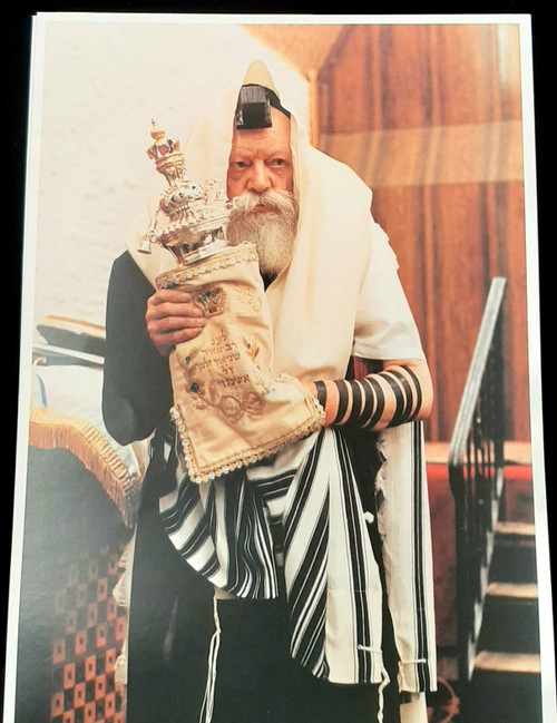 Photo of the Rebbe | Large /24.5 x 34.5cm /3