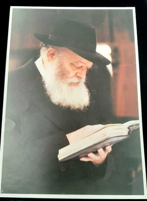 Photo of the Rebbe | Large /24.5 x 34.5cm /4