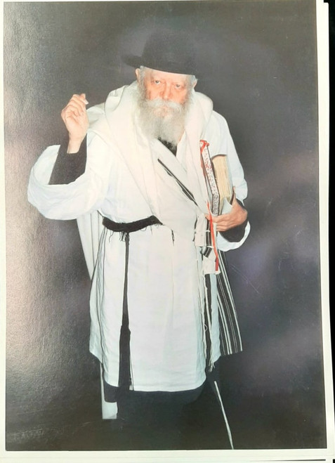 Photo of the Rebbe | Large /24.5 x 34.5cm /6
