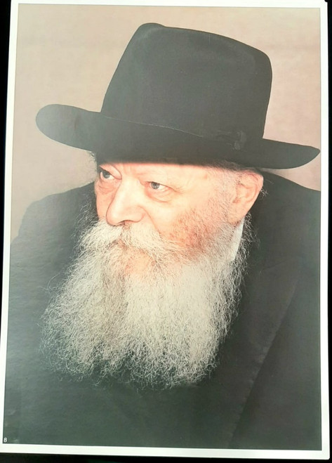 Photo of the Rebbe | Large /24.5 x 34.5cm /11