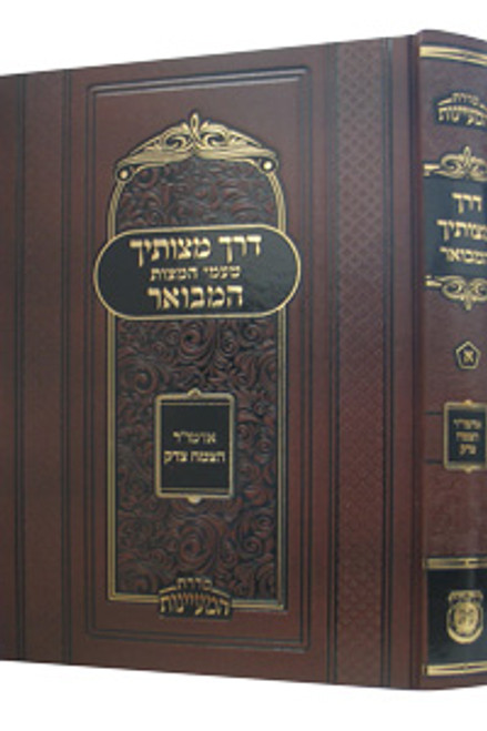 Derech Mitzvosecha HaMevoar /2