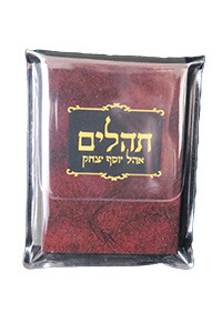 Tehillim | Hebrew Mini | Clear Edition | in Plastic Pouch