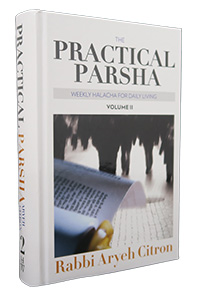 Practical Parsha /2