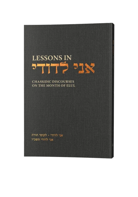 Lessons in Ani LeDodi