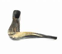 Shofar | Ram 'Kol Tekia' Hashgochas Badatz Eida Charedis | 7