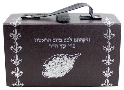 Plastic Etrog Box 18.5*10.5cm.