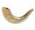 Shofar | Ram | D2 /29-33cm