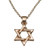 Necklace | Metal | 'Golden Rose' Magen David /2cm