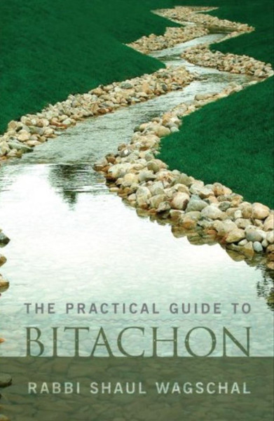Practical Guide To Bitachon