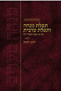 Mincha Maariv | Chabad | Hebrew | English Instructions | Annotated