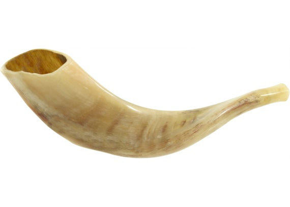 Shofar | Ram | C3 /34-37cm
