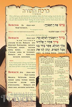 Laminated | Blessings on the Torah /Hebrew/English