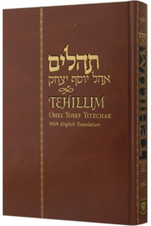 Tehilim With English Translation | Large