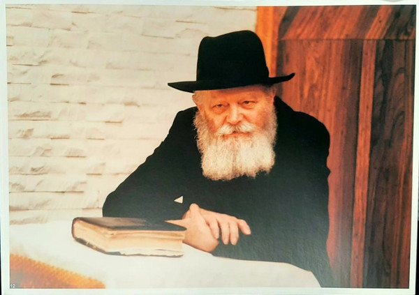 Photo of the Rebbe | Large /24.5 x 34.5cm /8