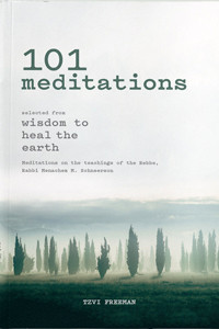 101 Meditations | selected from Wisdom to Heal the Earth