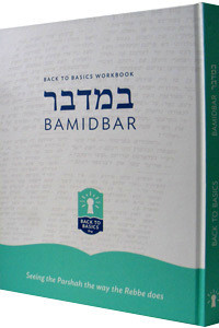 Back to Basics Workbook /Bamidbar