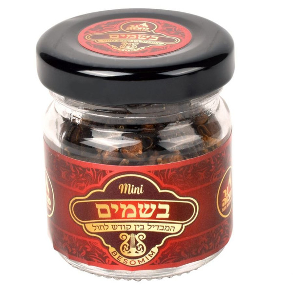 Mini Besomim | whole cloves