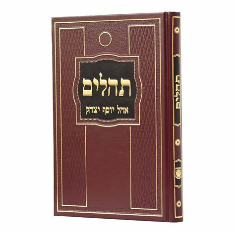 Tehilim | Ohel Yosef Yitzchak | Large Size