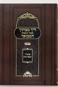 Derech Mitzvosecha HaMevoar /Likkut