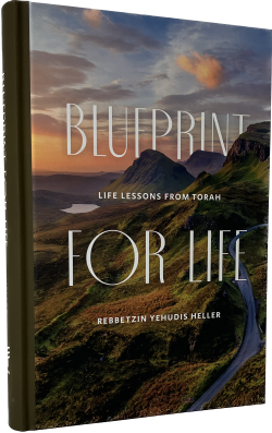 Blueprint for Life | Life Lessons from Torah | Heller