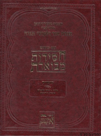 Chassidus Mevueres | Moadim 1