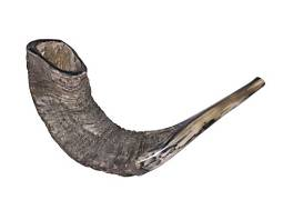 Shofar | Ram 'Kol Tekia' Hashgochas Badatz Eida Charedis | 6