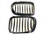 BMW E46 2D 99-03 & M3 01-06 Matte Black Kidney Grilles
