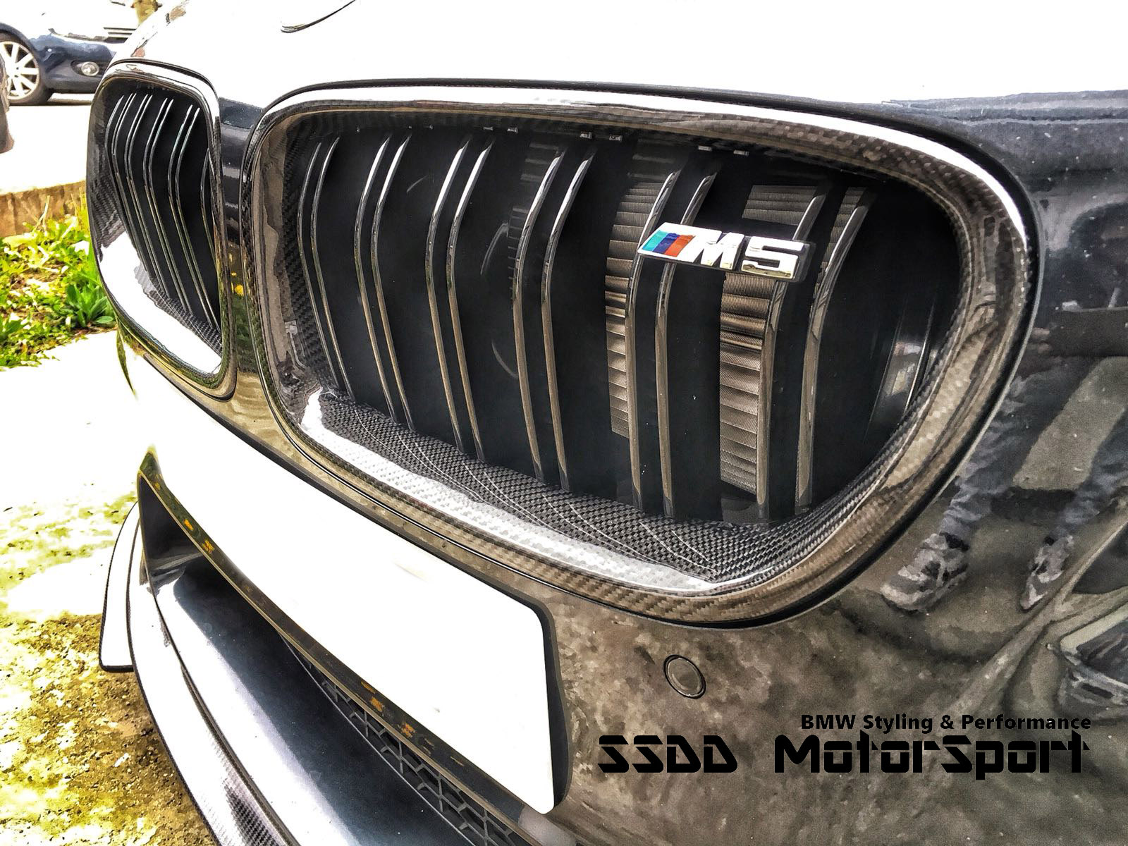 bmw-f10-m5-carbon-fibre-kidney-grilles.jpg