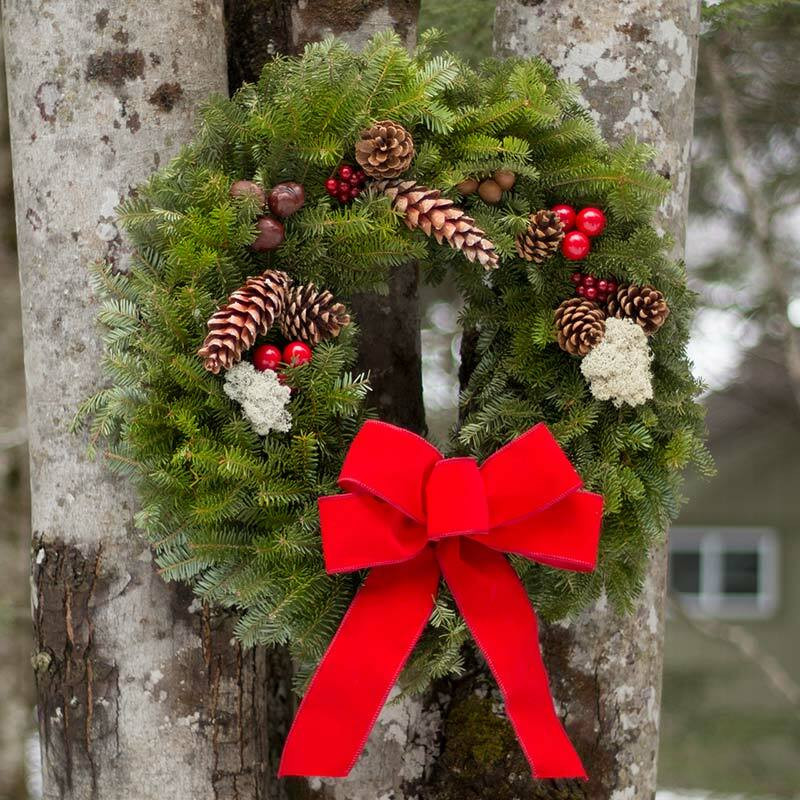 Original Christmas Wreath with Red Velvet Bow and Natural Decorations
A beautifully handcrafted Original Christmas Wreath, made with fresh balsam fir and adorned with natural pine cones, acorns, horse chestnuts, and faux red berries. The bright red velvet bow adds a classic festive touch to this traditional Maine wreath.