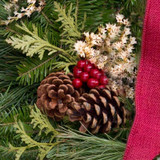 Close up of a fresh Christmas Wreath made with mix of balsam, cedar, and white pine. Decorated with pine cones, white german statice, faux red berries.
