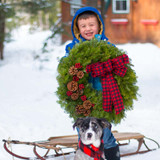 Buffalo Plaid Christmas Wreath – Beautiful Soft Ribbon with Lush Balsam Fir
A stunning buffalo plaid Christmas wreath featuring a soft red and black flannel ribbon, handcrafted with lush Maine balsam fir. Perfect for adding a rustic, farmhouse feel to your holiday decor.