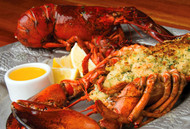 Happy Thanksgiving! Stuff the Lobster not the Bird!
