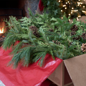 Big Box of Fresh Christmas Greens
A generous Big Box of Greens, filled with lush Maine balsam fir, cedar, white pine, and a dozen pine cones. This 6-pound collection of fresh evergreens is perfect for DIY holiday decorating.