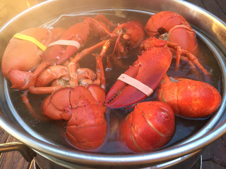 How to Cook a Lobster