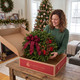 Woman opening a Harbor Farm gift box containing a Buffalo Plaid fresh balsam Christmas wreath