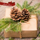 Idea of how to use Box of Greens to decorate a Christmas present