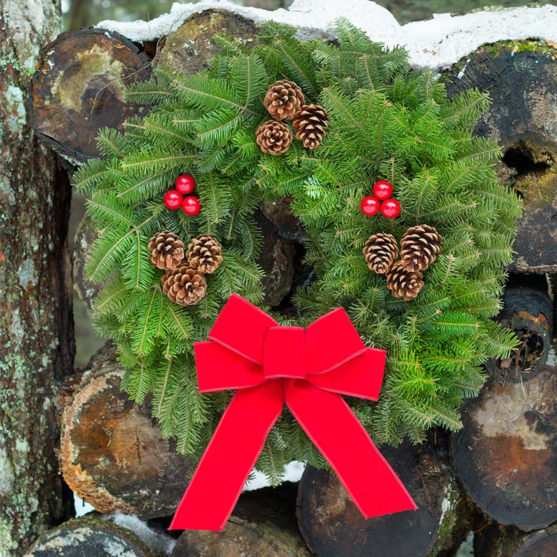 Fresh Christmas Wreath For Sale with Bow Free Shipping